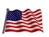 US Flag